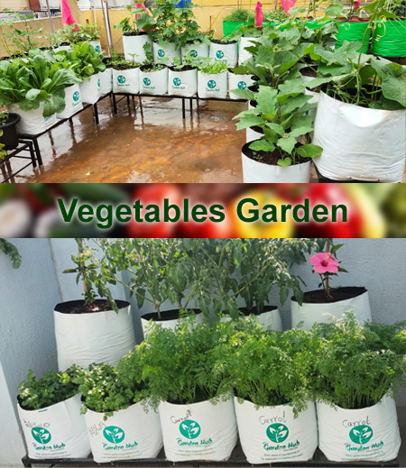 Home - The Garden Hub